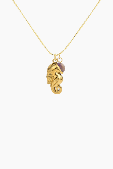 “TRIED FINDING A MERMAID LIKE YOU, FOUND THIS SEAHORSE INSTEAD” NECKLACE